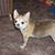 Bonnie Patterson's profile image