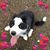 Michelle Pyatt's profile image