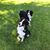 Sue Hume's profile image