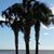 Kristina Livingston-Allen's profile image