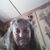 Mary Armstrong's profile image