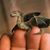 'Andy Stephens's profile image
