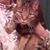 Janice Gill's profile image