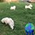 Brenda Johnston's profile image