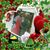 Ginni Mitchell Pearson's profile image