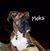 Sue James's profile image