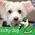 Sondra Payne's profile image