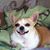 Kay Miller's profile image