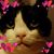 Joanne Kimball's profile image