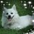Nancy Copeland's profile image