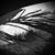 Sherry Madar Dymond's profile image