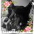 Jill Marie's profile image
