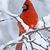 Sandy Groathouse Swett's profile image
