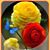 Charmaine Anne MacDonald's profile image