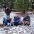 Antonio Sanchez's profile image