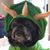 Joanna Shell's profile image