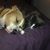 Victor Balcita Jr's profile image