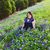 Donna Sharp Haynes's profile image