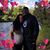Johnna DeLoach's profile image
