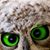 Don Johnston's profile image