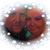 Kerri DeRuiter's profile image