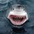 Bruce Dauenhauer's profile image
