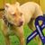 Amy Ussery Eastin's profile image