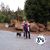 Darlene Myers's profile image