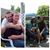 Janice Hawkins Devlin's profile image
