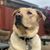 Juan Arroyo's profile image