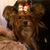 Julie Bowden's profile image