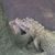 Samantha Fillbach's profile image