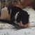 Kimberly Middaugh Stroman's profile image