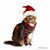 Patty Tucker Houck's profile image