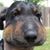 Brent Edwards's profile image
