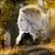 Deb Fisher Kirkman's profile image