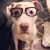Maureen Ann's profile image
