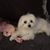Peggy Lupton's profile image