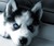 Clementine Z.'s profile image