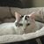 Jamie Kilburn-Fields's profile image