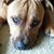 Judy Tennant's profile image