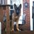 Sean Christopher Gahagan's profile image