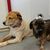 Barbara Bolander Shawver's profile image