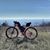 David Wood's profile image