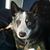 Rose Hilton-Cowley's profile image