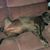 Ylita R Washington Edd's profile image
