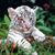 Yvonne Post Chiarello's profile image