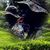 Fonzy Rosales's profile image