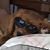 Sheila Vince Goodwin's profile image