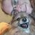 Arianna Jarvis's profile image